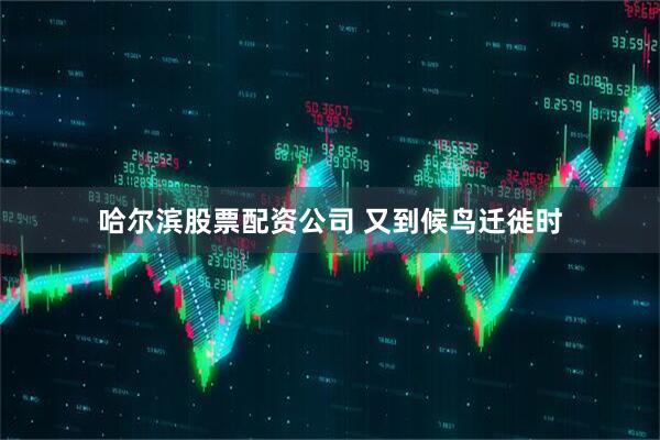 哈尔滨股票配资公司 又到候鸟迁徙时