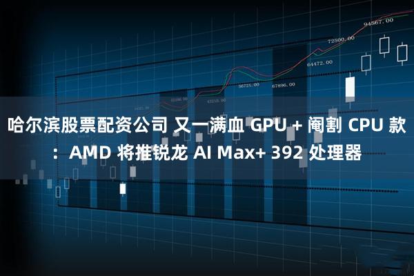 哈尔滨股票配资公司 又一满血 GPU + 阉割 CPU 款：AMD 将推锐龙 AI Max+ 392 处理器