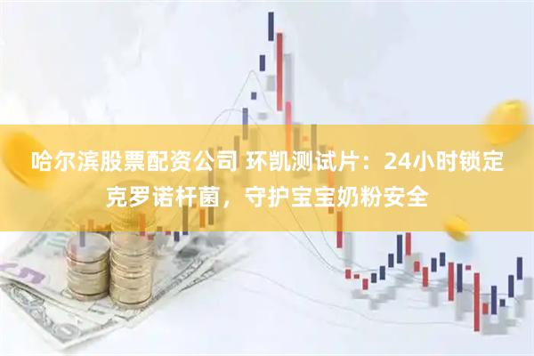 哈尔滨股票配资公司 环凯测试片：24小时锁定克罗诺杆菌，守护宝宝奶粉安全